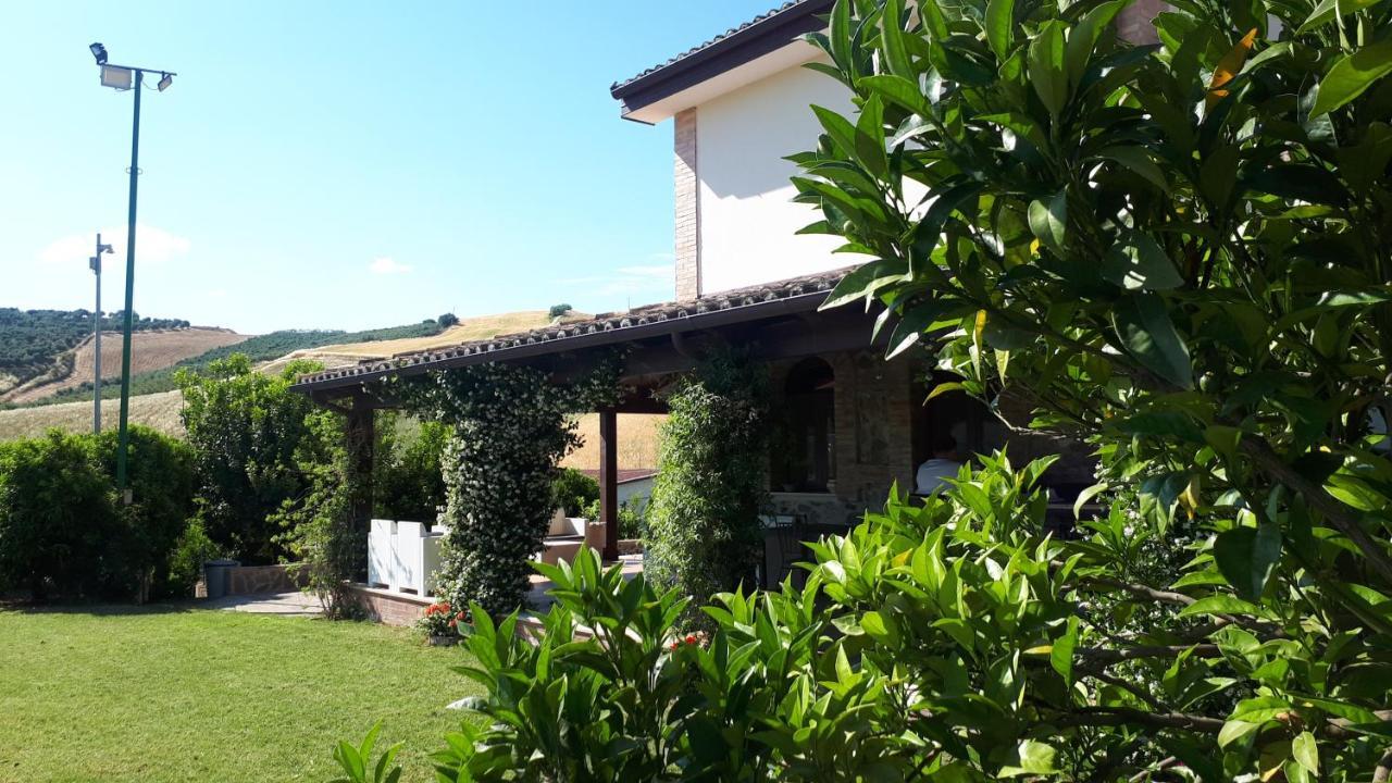 Agriturismo Trappeto Vecchio San Demetrio Corone Exteriér fotografie