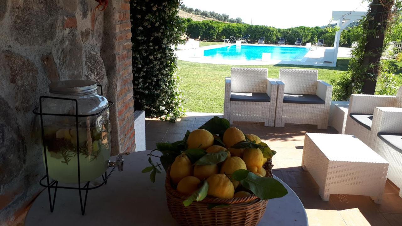 Agriturismo Trappeto Vecchio San Demetrio Corone Exteriér fotografie