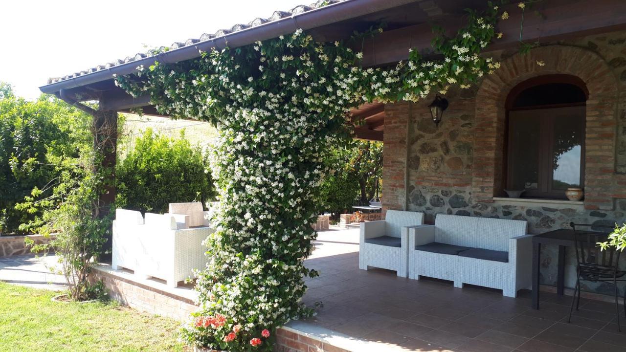 Agriturismo Trappeto Vecchio San Demetrio Corone Exteriér fotografie