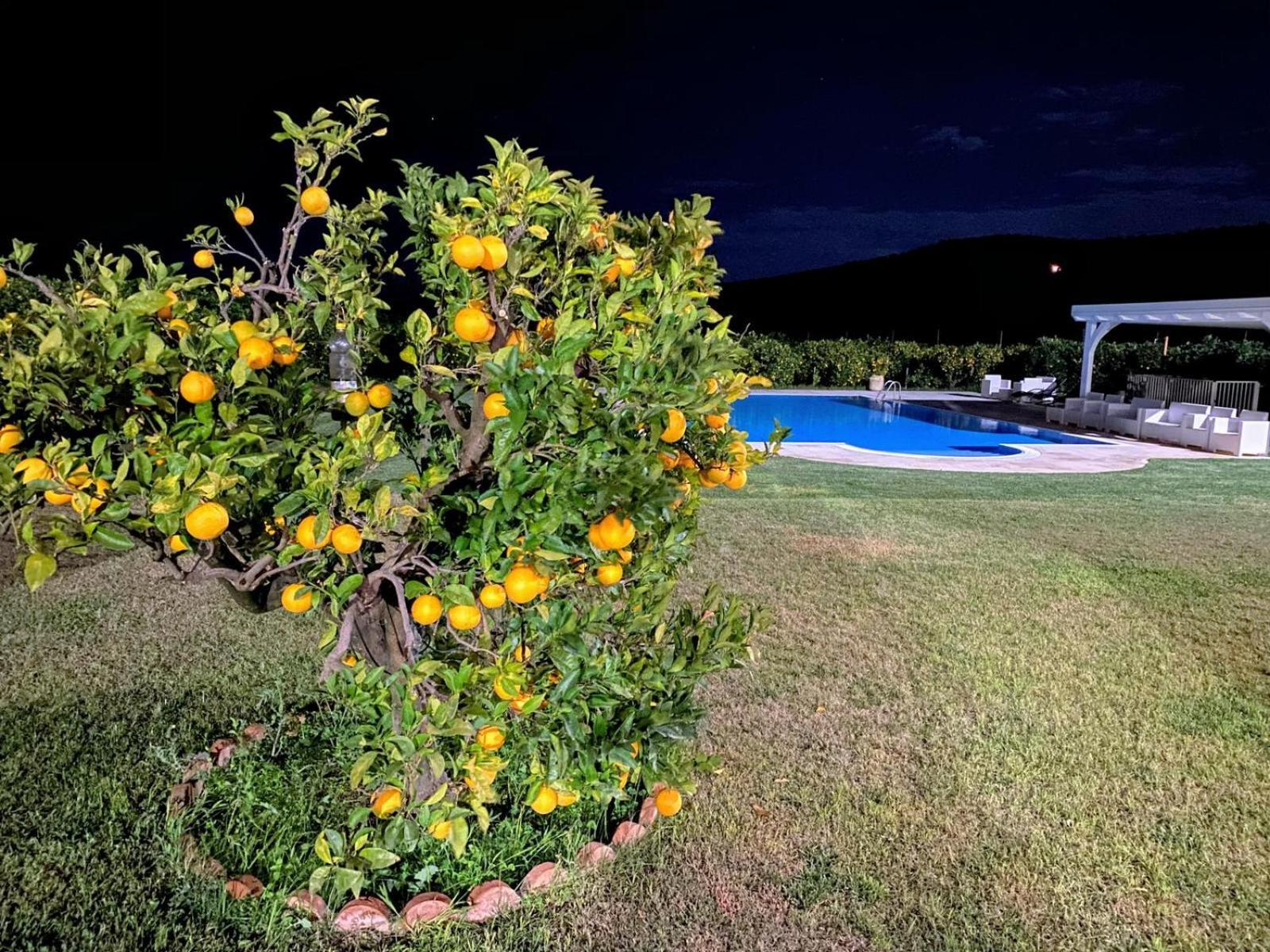 Agriturismo Trappeto Vecchio San Demetrio Corone Exteriér fotografie