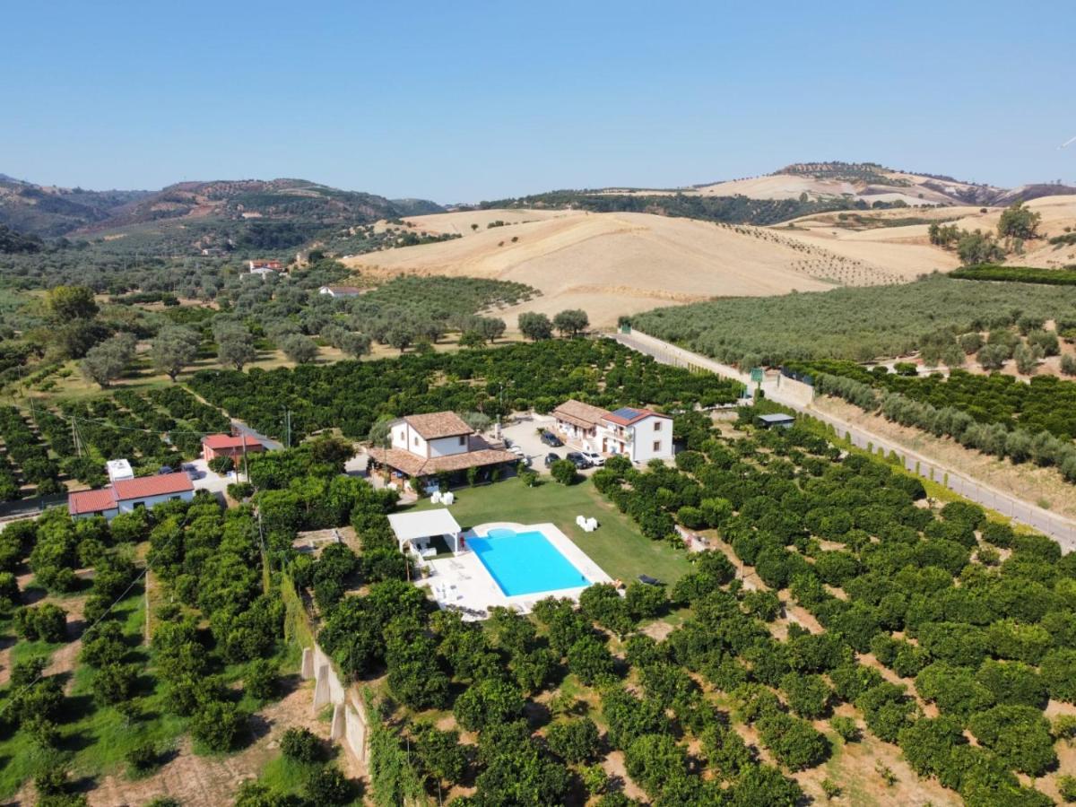 Agriturismo Trappeto Vecchio San Demetrio Corone Exteriér fotografie