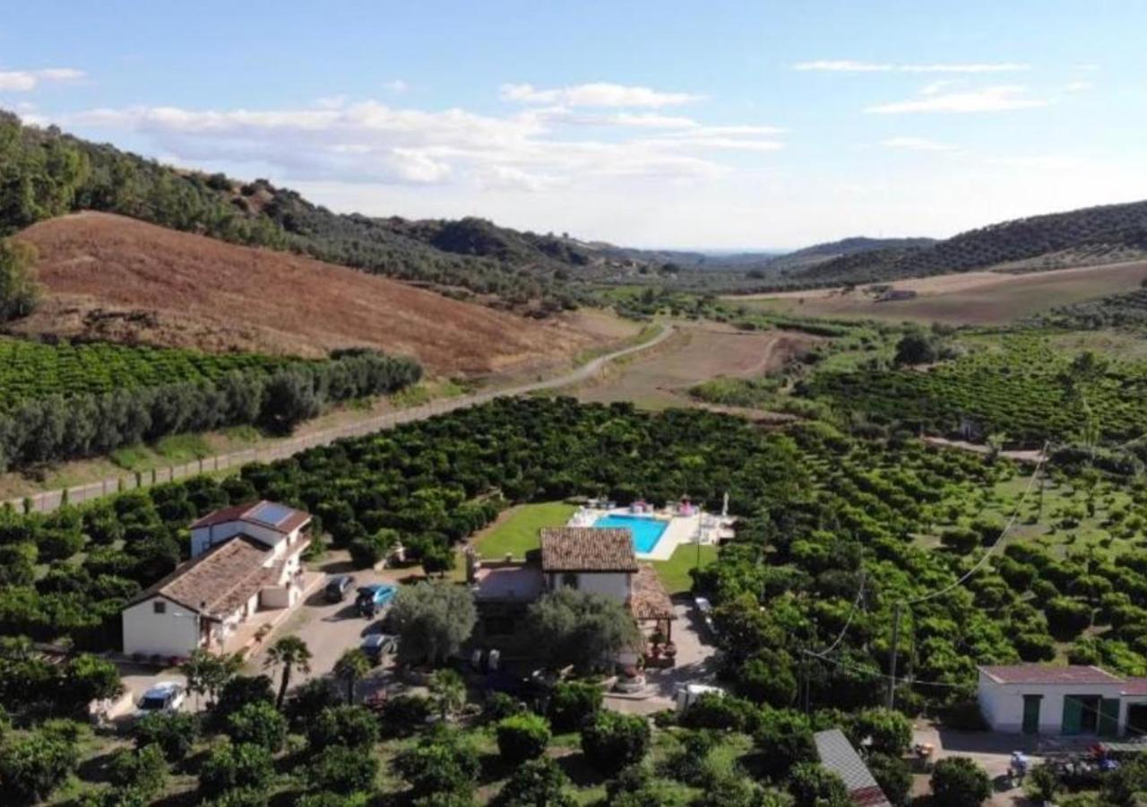 Agriturismo Trappeto Vecchio San Demetrio Corone Exteriér fotografie