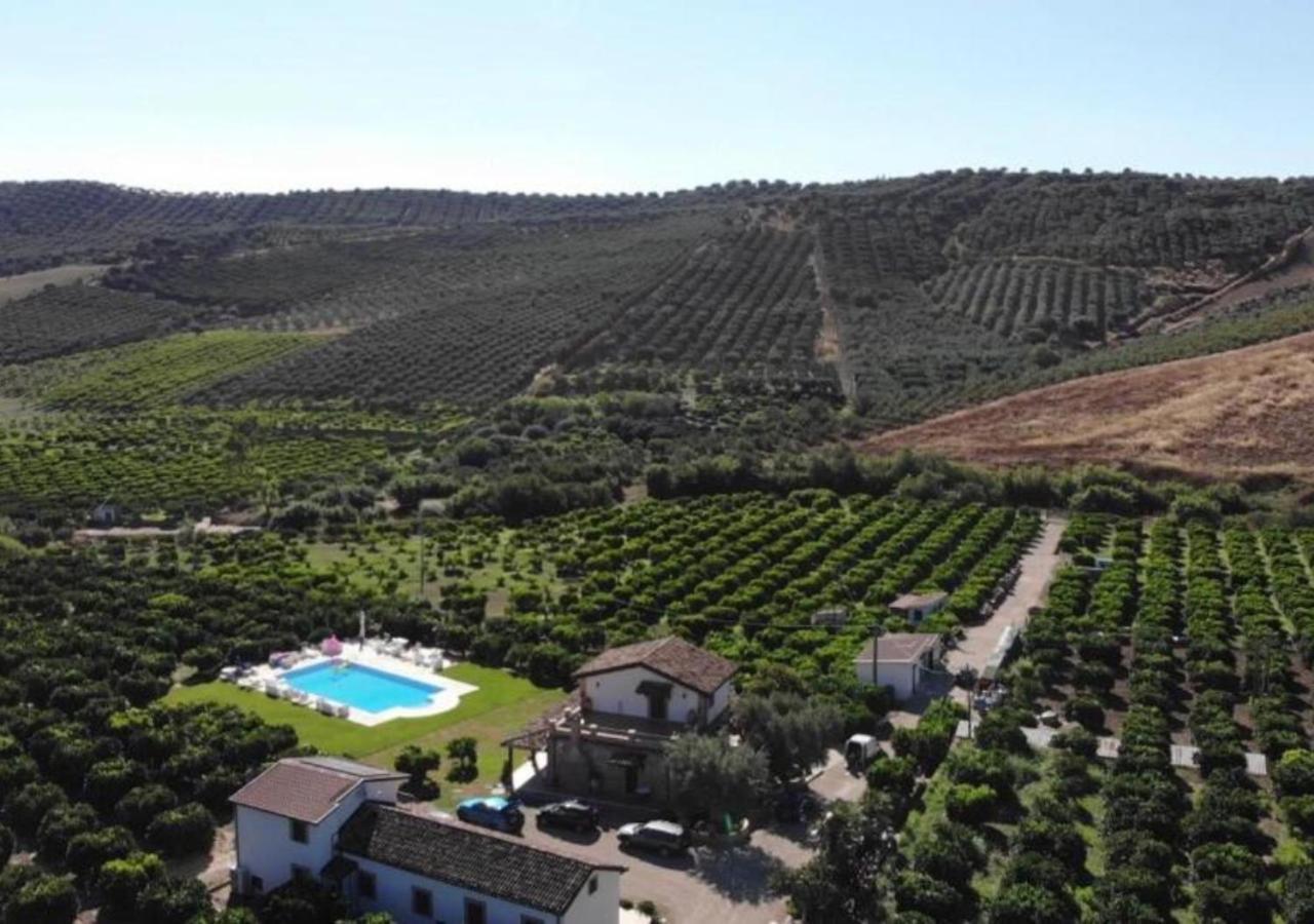 Agriturismo Trappeto Vecchio San Demetrio Corone Exteriér fotografie
